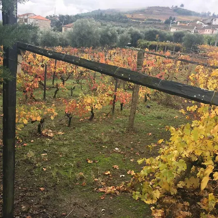 펜션 Casa Da Farmacia