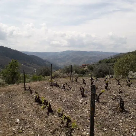 Casa Da Farmacia Castanheiro