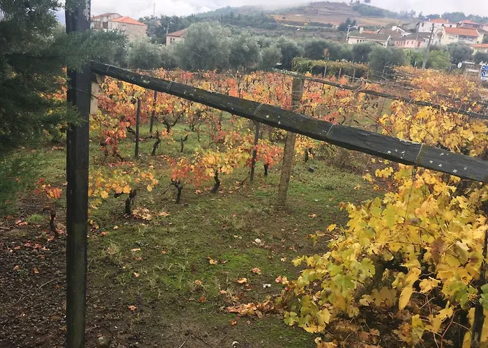 Hébergement de vacances Casa Da Farmacia