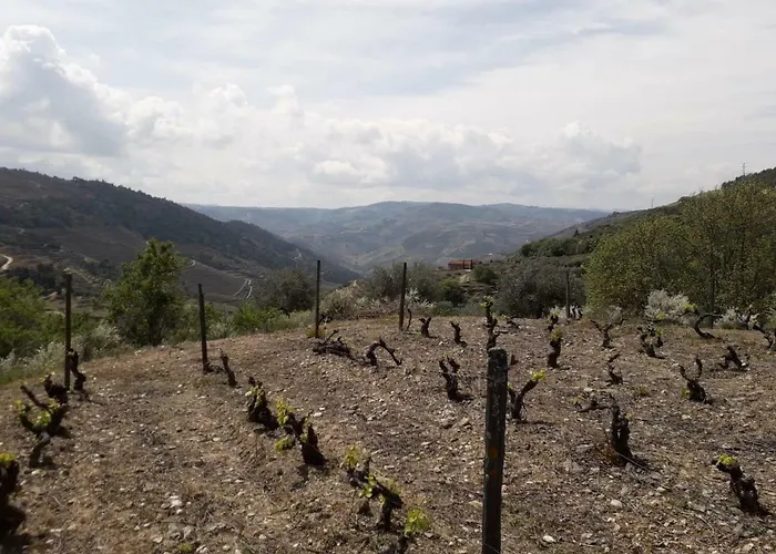 Casa Da Farmacia Castanheiro